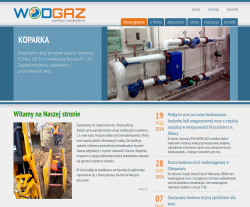 projektowanie stron www